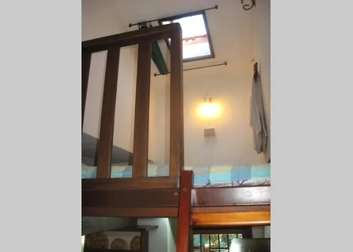 Dependance Viburni *