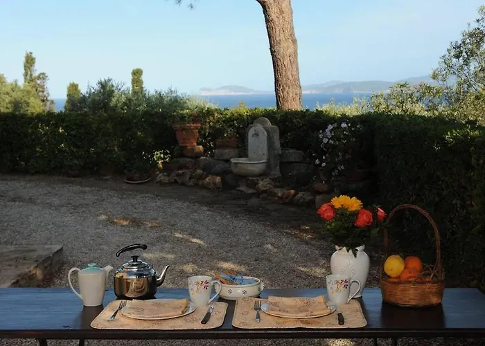 Dependance Viburni *