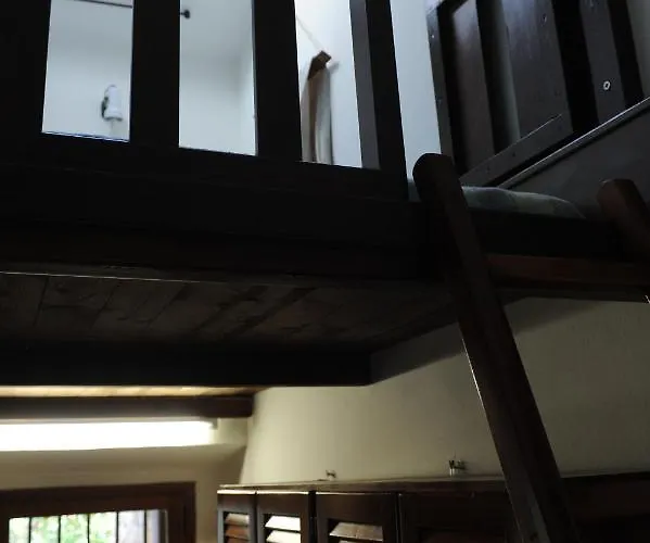 Dependance Viburni *